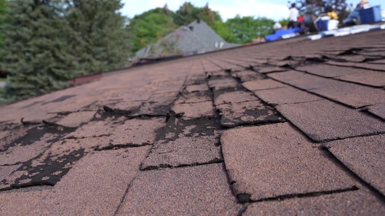 Best Hot Roofs  in Nicholasville, KY
