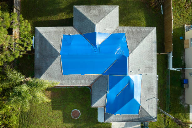 Best Rubber Roofing (EPDM, TPO)  in Nicholasville, KY