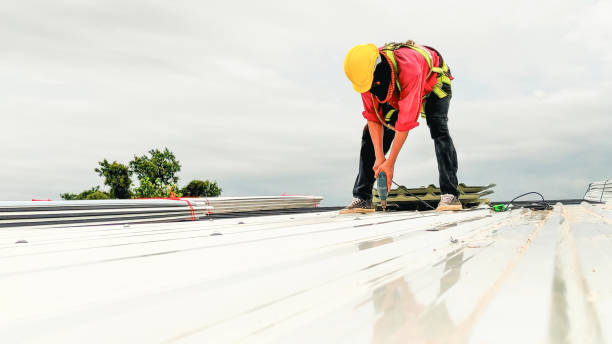 Best 4 Ply Roofing  in Nicholasville, KY