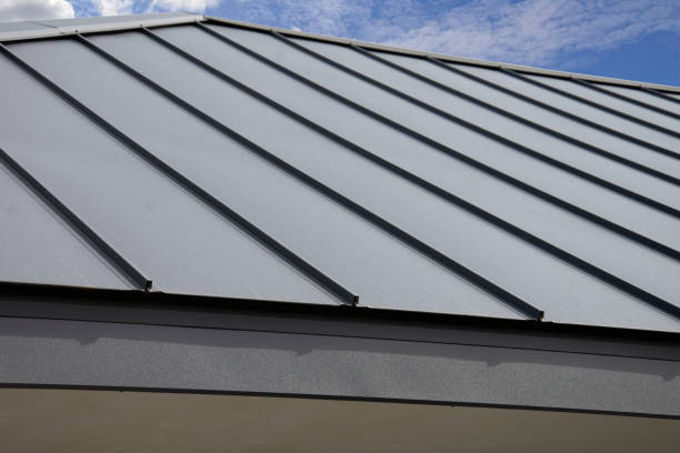 Best Roof Maintenance and Cleaning  in Nicholasville, KY