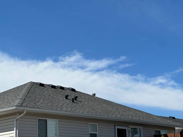 Best Storm Damage Roof Repair  in Nicholasville, KY